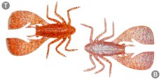 画像2: メガバス フワバグ2.5インチ：CLEAR ORANGE/RAINBOW FLAKE【ネコポス配送可】 (2)