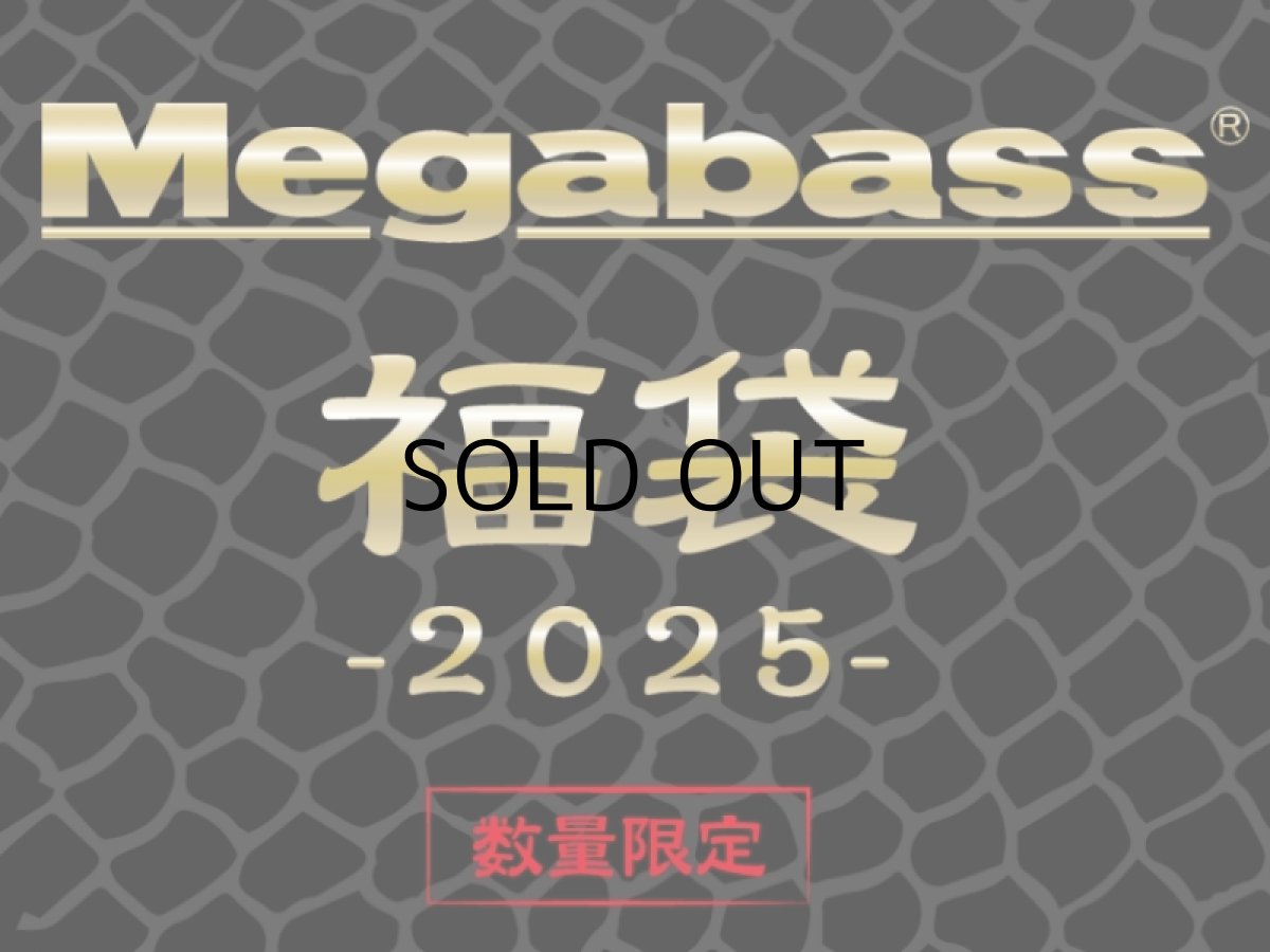 画像1: メガバス 福袋2025 ソルト用■ネコポス対象外■ (1)