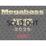 メガバス 福袋2025 ソルト用■ネコポス対象外■