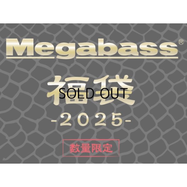画像1: メガバス 福袋2025 ソルト用■ネコポス対象外■