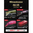 画像2: メガバス 福袋2025 ソルト用■ネコポス対象外■ (2)