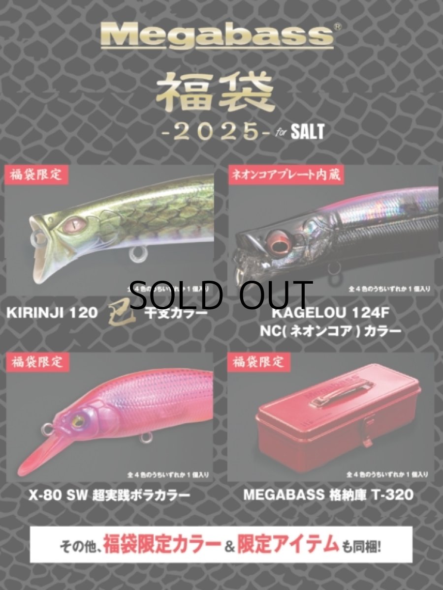 画像2: メガバス 福袋2025 ソルト用■ネコポス対象外■ (2)