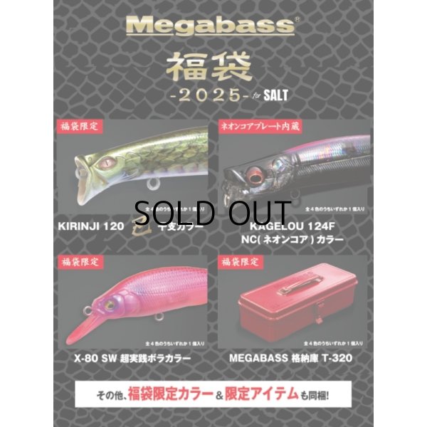 画像2: メガバス 福袋2025 ソルト用■ネコポス対象外■