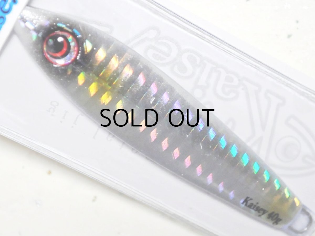 画像1: パズデザイン リード 海晴40g：セレブシルバー【ネコポス配送可】 (1)