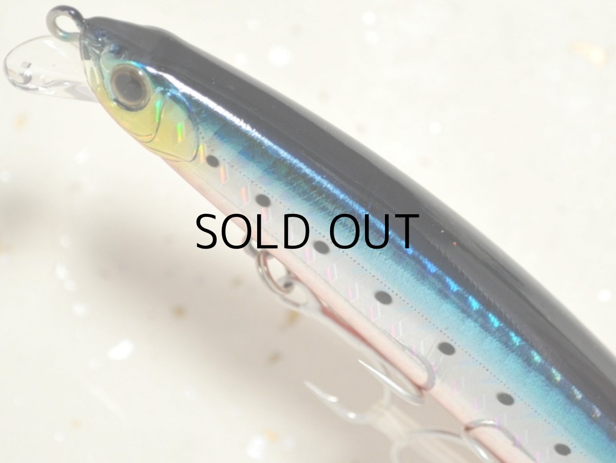 画像2: バスデイ ログサーフ124F：HH-116 ハイトホロイワシレッドベリー■ネコポス対象外■ (2)