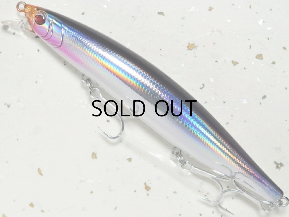 画像1: バスデイ ログズ124F：H-127 カタクチ【ネコポス配送可】 (1)