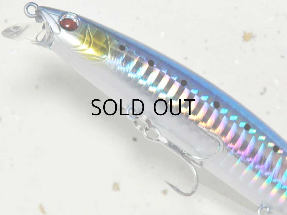 画像3: バスデイ ログズ124F:HH-16 ハイトホロイワシ■ネコポス対象外■ (3)