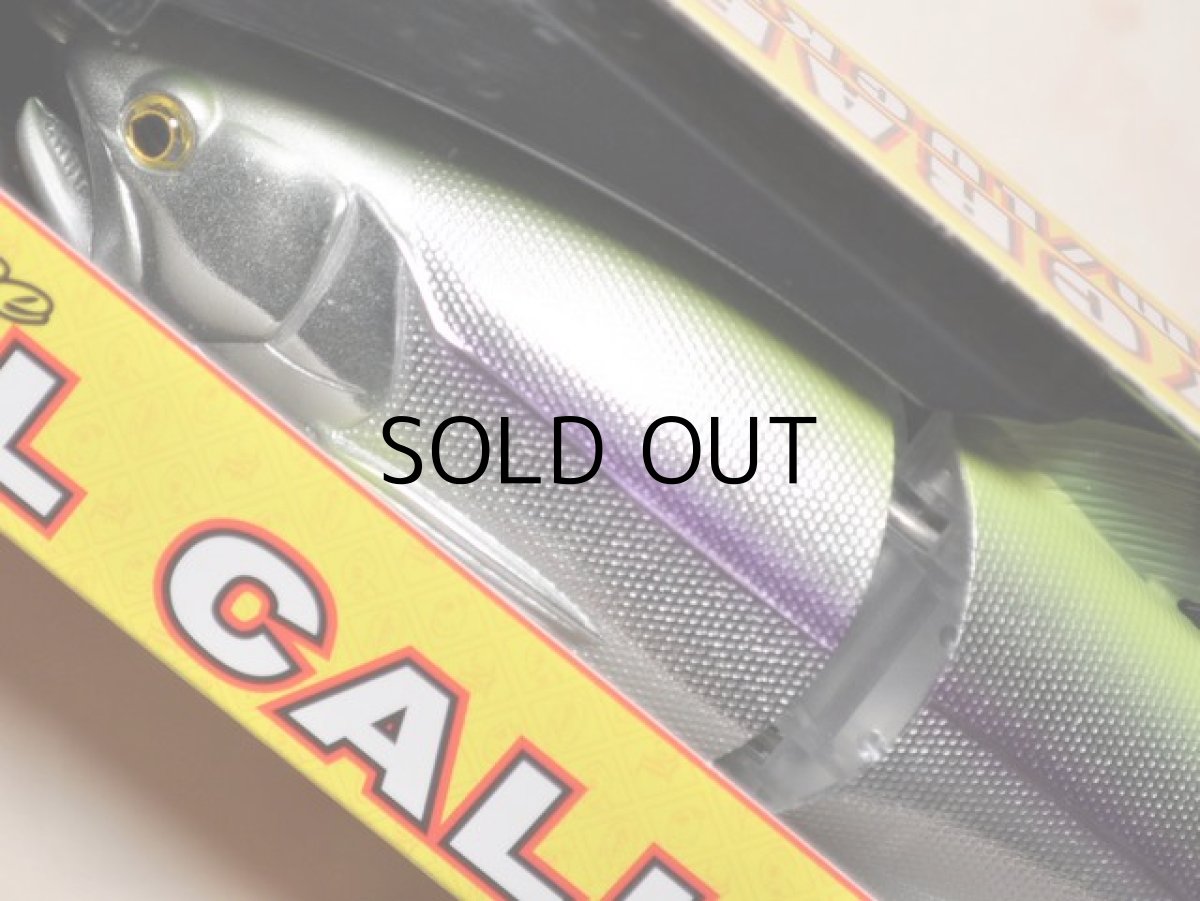 画像2: ラッキークラフト リアルベイトプレミアム トラウト178F：フラッシュチャート■ネコポス対象外■ (2)