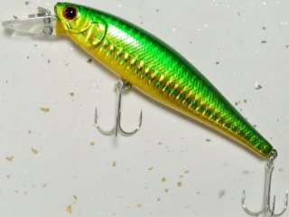 ラッキークラフト　ビーフリーズ　100SP セット hapinetangler_0130
