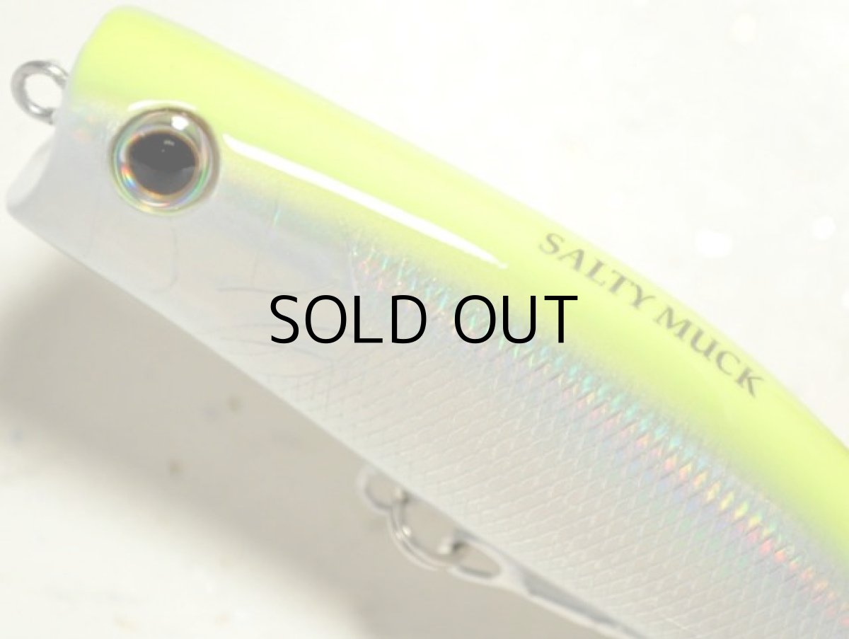 画像2: タックルハウス ソルティームック：No.02■ネコポス対象外■ (2)