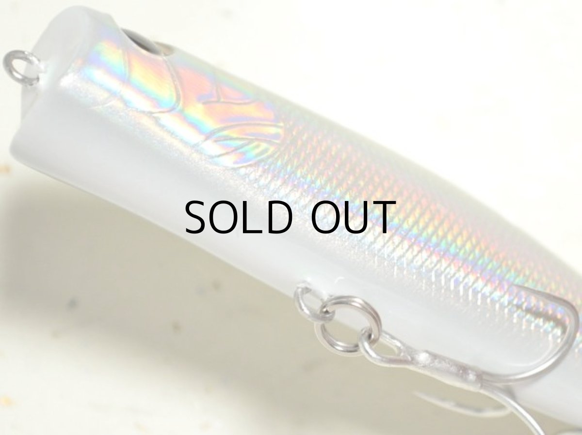 画像3: タックルハウス ソルティームック：No.02■ネコポス対象外■ (3)