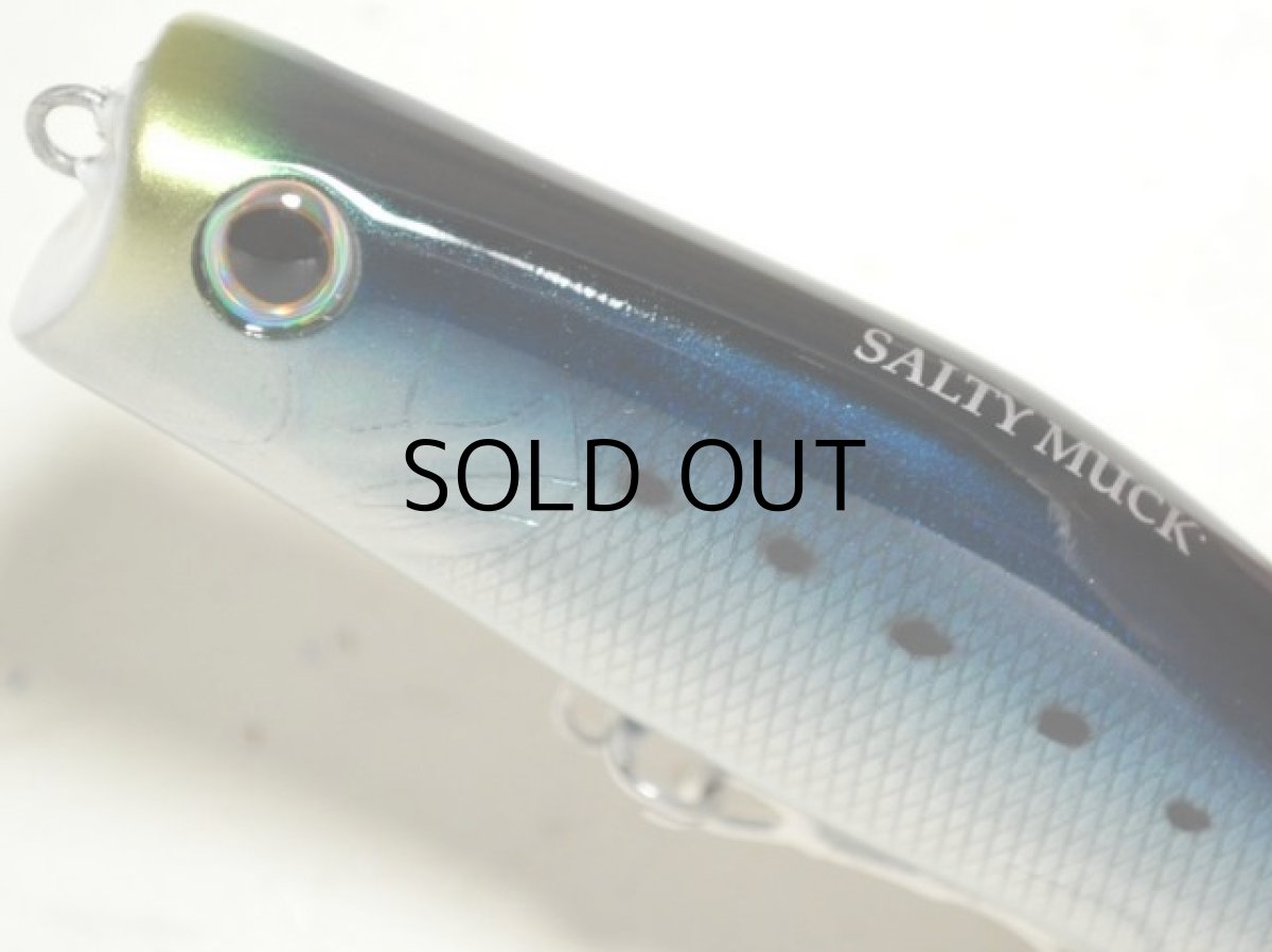 画像2: タックルハウス ソルティームック：No.04■ネコポス対象外■ (2)