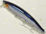 タックルハウス フィードシャロー105：12 SHGセグロカタクチ【ネコポス配送可】