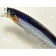 画像2: タックルハウス フィードシャロー105：12 SHGセグロカタクチ【ネコポス配送可】 (2)