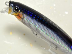 画像2: タックルハウス フィードシャロー105：12 SHGセグロカタクチ【ネコポス配送可】 (2)