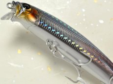 画像3: タックルハウス フィードシャロー105：12 SHGセグロカタクチ【ネコポス配送可】 (3)