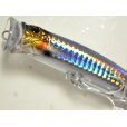画像3: タックルハウス フィードポッパー100：No.09 セグロカタクチ■ネコポス対象外■ (3)