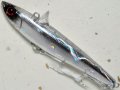 タックルハウス ローリングベイト77BST 17G：EC-X18 デイライトフラッシュ（エクリプスカスタム）【ネコポス配送可】
