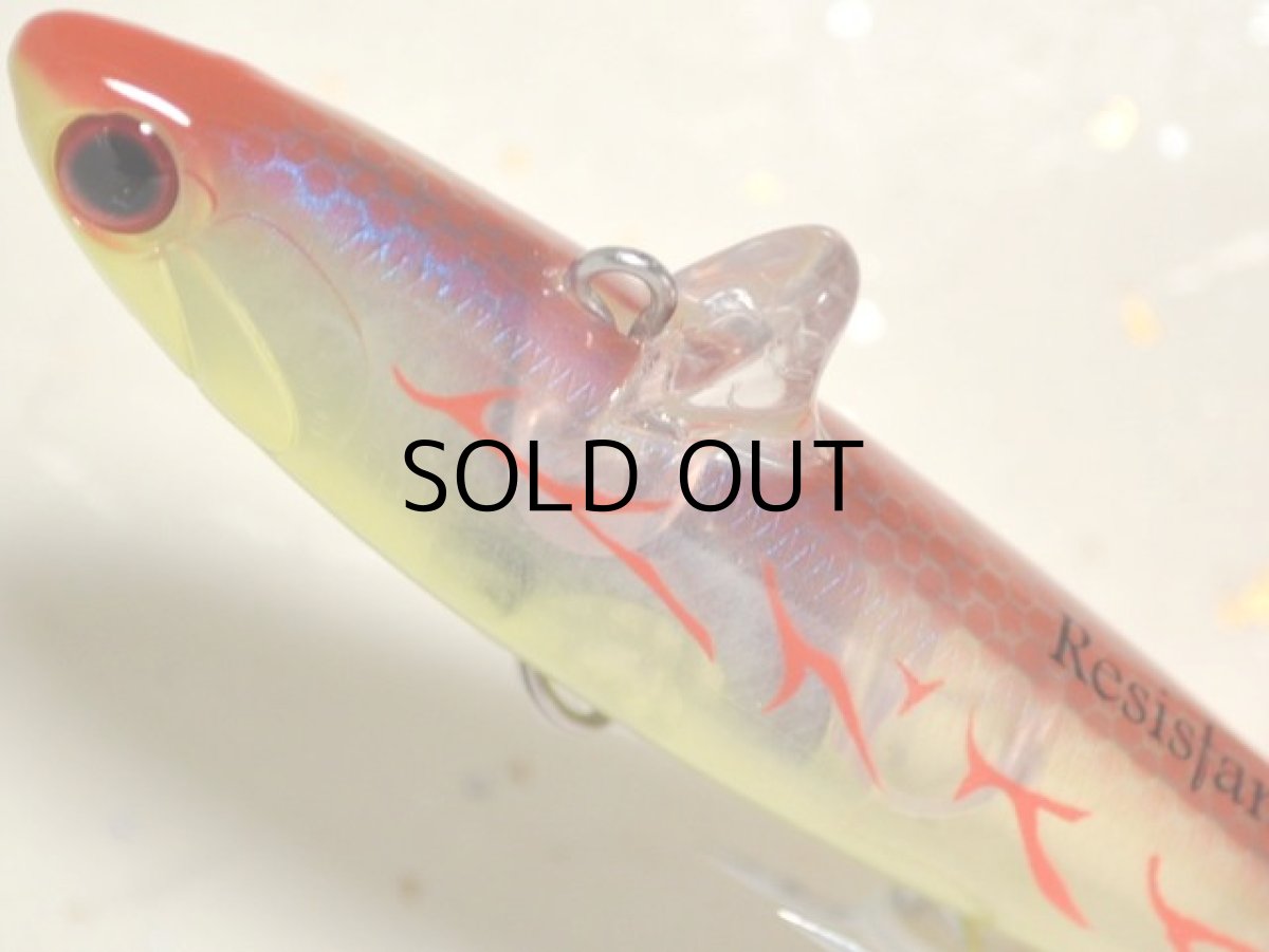 画像2: タックルハウス ローリングベイト88 TYPE-R:LTD-2 ステイルフィッシュ(限定カラー)【ネコポス配送可】 (2)