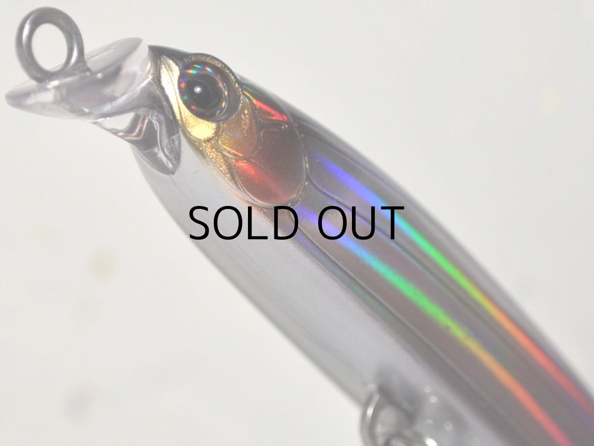 画像3: タックルハウス ベゼル.36：No.09 セグロカタクチ■ネコポス対象外■ (3)