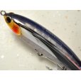 画像2: タックルハウス ブリット.ペンシル120：No.NR-3 NRセグロカタクチ■ネコポス対象外■ (2)