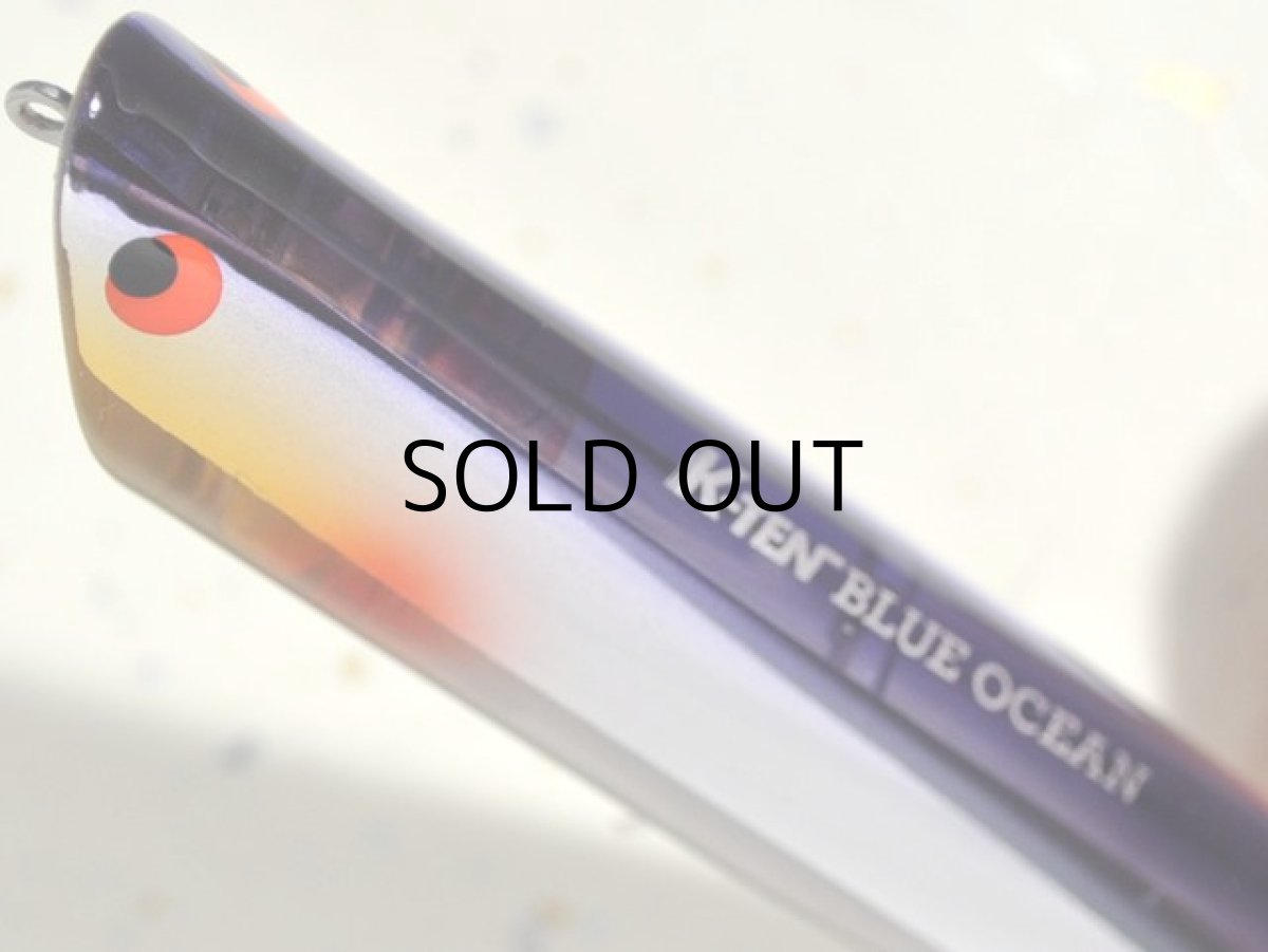 画像2: タックルハウス BKRP-115：NR-3 NRセグロカタクチ（限定カラー）■ネコポス対象外■ (2)