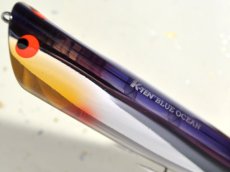 画像2: タックルハウス BKRP-140：NR-3 NRセグロカタクチ（限定カラー）■ネコポス対象外■ (2)