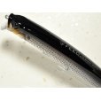 画像2: タックルハウス フィードシャロー155：11 HGコノシロ■ネコポス対象外■ (2)