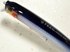 画像2: タックルハウス フィードシャロー155：12 SHGセグロカタクチ■ネコポス対象外■ (2)