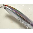 画像3: タックルハウス TKW140：No.110 SHセグロカタクチ■ネコポス対象外■ (3)