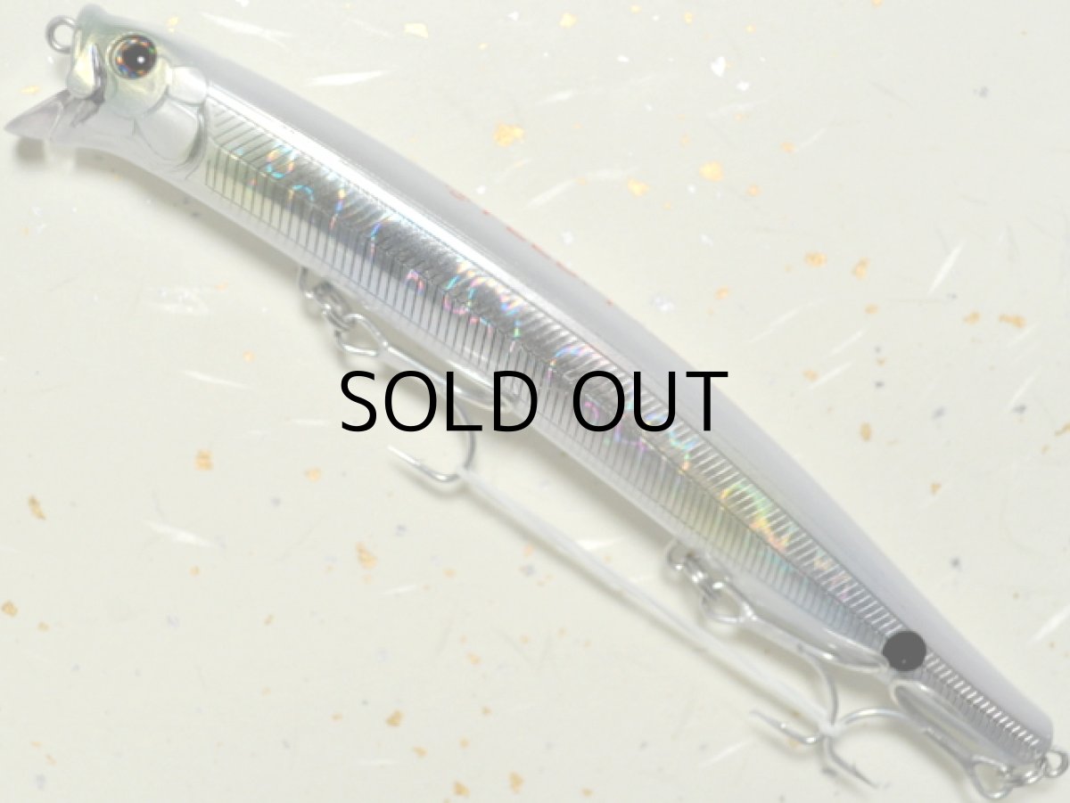 画像1: タックルハウス フィードシャロー155プラス：P-10 AHGレインボー■ネコポス対象外■ (1)