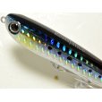 画像2: タックルハウス クロナッツ67：No.09 HGイワシ【ネコポス配送可】 (2)