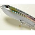 画像3: タックルハウス クロナッツ67：No.09 HGイワシ【ネコポス配送可】 (3)