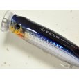 画像2: タックルハウス フィードポッパー100SW：No.09 セグロカタクチ【ネコポス配送可】 (2)