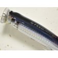 画像2: タックルハウス フィードポッパー100SW：No.11 サンマ【ネコポス配送可】 (2)