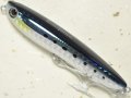タックルハウス クロナッツ79：No.09 HGイワシ【ネコポス配送可】