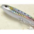 画像3: タックルハウス クロナッツ79：No.09 HGイワシ【ネコポス配送可】 (3)