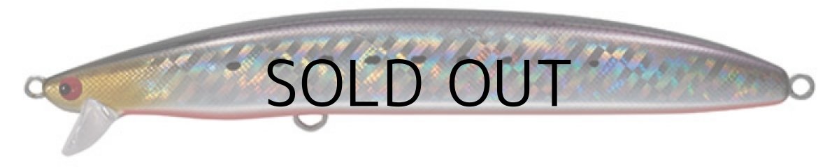 画像4: タックルハウス TKGS135：No.112 SHイワシレッドベリー■ネコポス対象外■ (4)