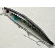 画像1: タックルハウス フィードシャロー105：LTD-11 パールシェルボラ（限定カラー）【ネコポス配送可】 (1)