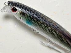 画像2: タックルハウス フィードシャロー105：LTD-11 パールシェルボラ（限定カラー）【ネコポス配送可】 (2)