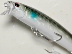 画像3: タックルハウス フィードシャロー105：LTD-11 パールシェルボラ（限定カラー）【ネコポス配送可】 (3)
