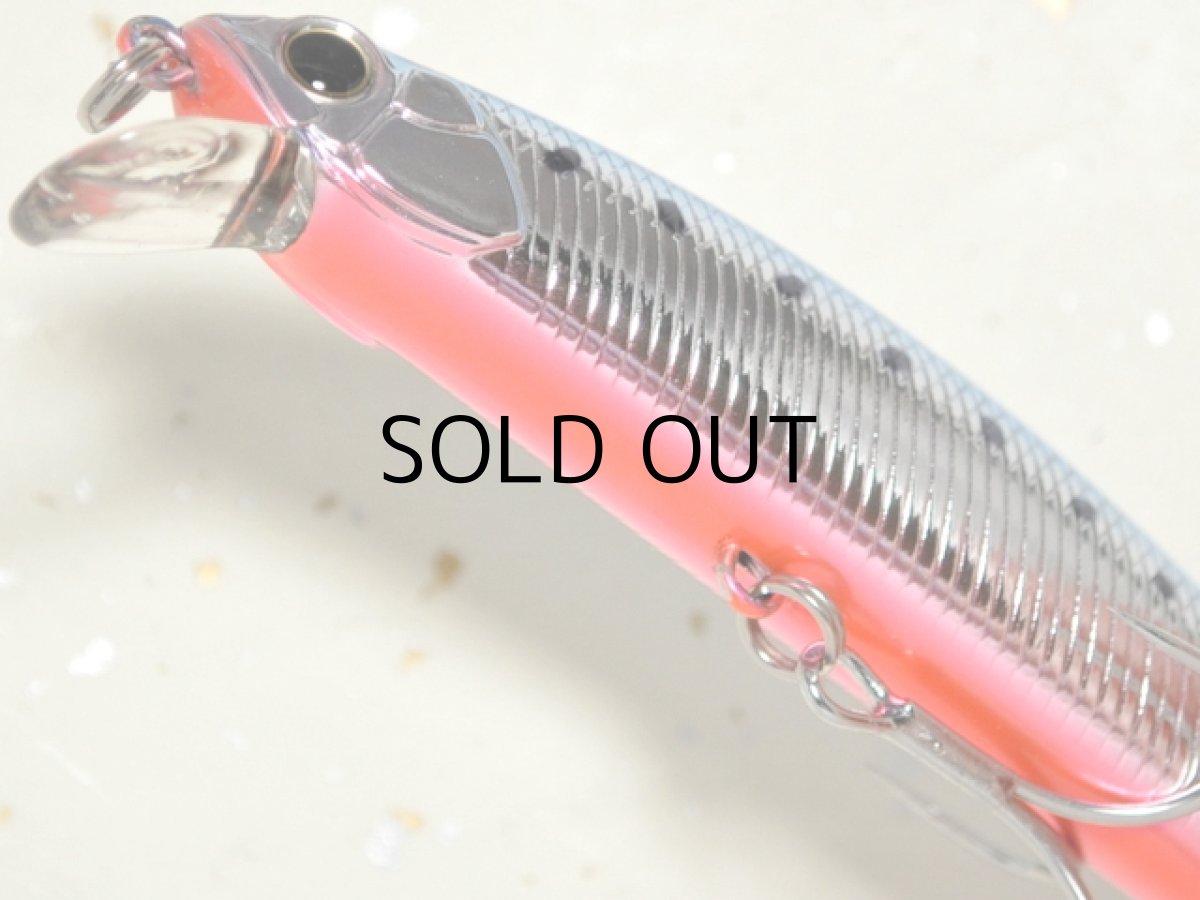 画像3: デュオ ビーチウォーカー110S：MCC0087 マズメイワシ（M87）■ネコポス対象外■ (3)