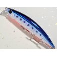 画像1: デュオ ビーチウォーカーアクシオン95S：H-87 TSマズメイワシ【ネコポス配送可】 (1)
