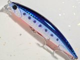 デュオ ビーチウォーカーアクシオン95S：H-87 TSマズメイワシ【ネコポス配送可】