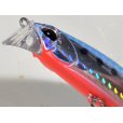 画像2: デュオ ビーチウォーカーアクシオン95S：H-87 TSマズメイワシ【ネコポス配送可】 (2)