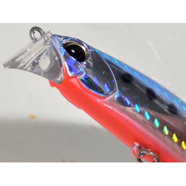 画像2: デュオ ビーチウォーカーアクシオン95S：H-87 TSマズメイワシ【ネコポス配送可】