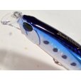 画像3: デュオ ビーチウォーカーアクシオン95S：H-87 TSマズメイワシ【ネコポス配送可】 (3)