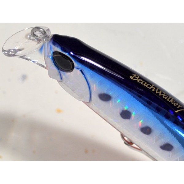 画像3: デュオ ビーチウォーカーアクシオン95S：H-87 TSマズメイワシ【ネコポス配送可】