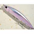 画像1: デュオ ビーチウォーカーアクシオン95S：DHA0279 ツレギスGB【ネコポス配送可】 (1)