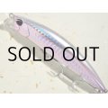 デュオ ビーチウォーカーアクシオン95S：DHA0279 ツレギスGB【ネコポス配送可】